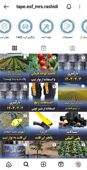 جهان تیپ نقش جهان